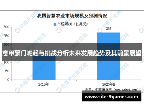 意甲豪门崛起与挑战分析未来发展趋势及其前景展望