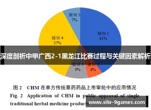 深度剖析中甲广西2-1黑龙江比赛过程与关键因素解析