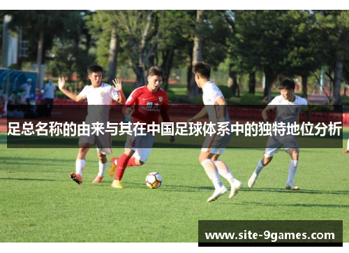 足总名称的由来与其在中国足球体系中的独特地位分析