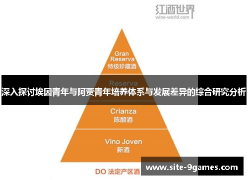 深入探讨埃因青年与阿贾青年培养体系与发展差异的综合研究分析 深入探讨埃因青年与阿贾青年培养体系与发展差异的综合研究分析